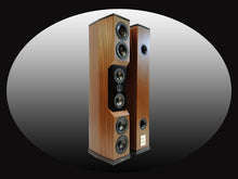 Load image into Gallery viewer, D1X
